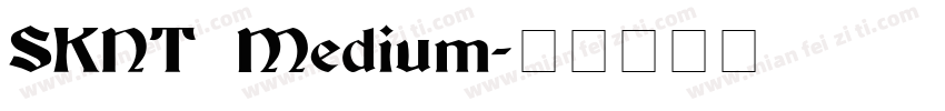 SKNT Medium字体转换